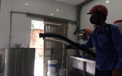 17 du khách ở Đà Nẵng ngộ độc do ăn dưa chua chứa E.coli