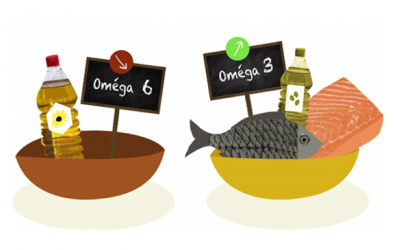 Sự cân bằng của omega-3 và omega-6 rất quan trọng cho chức năng não