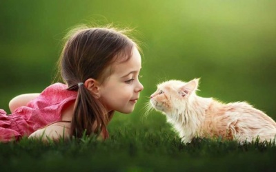 Tử vi 12 cung hoàng đạo Chủ nhật (21/5/2017)