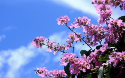 Nắng nóng quay trở lại miền Bắc