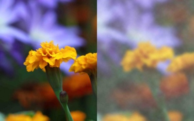 Nguyên nhân nào khiến bạn bị nhìn mờ?