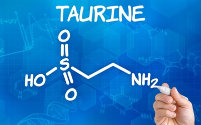 Lợi ích của taurine trong bảo vệ não bộ và điều trị động kinh