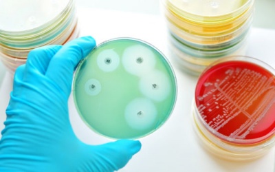 Loại kháng sinh cực mạnh có thể chống lại các loại siêu vi khuẩn