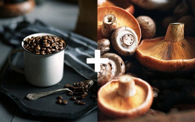 Siêu thực phẩm 2017: Ngon từ cà phê, bổ từ nấm