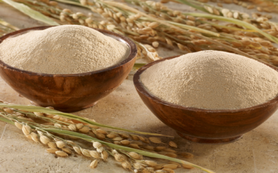 Cám gạo - 'siêu thực phẩm' chống suy dinh dưỡng hàng đầu