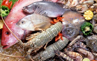 Ăn hải sản có làm tăng cholesterol?