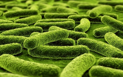 Immunecanmix® - Giải pháp giúp phòng và hỗ trợ bệnh nhân suy giảm miễn dịch