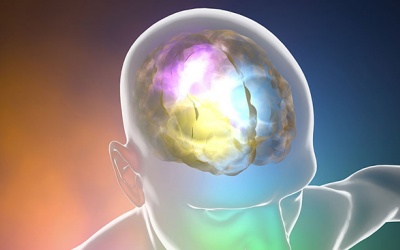 Động kinh liên quan tới cách thức bộ não lưu trữ và nhớ lại ký ức