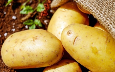 Khoai tây có phải là cách trị rạn da không thể bỏ qua? 