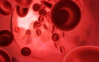 Những thông tin cơ bản về máu