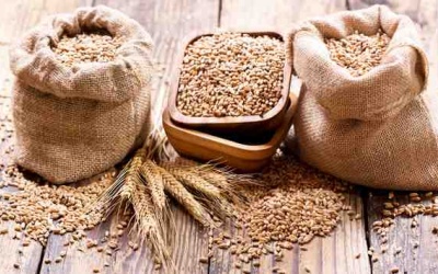 6 điều tuyệt vời xảy ra với cơ thể khi bạn ăn ít ngũ cốc hơn