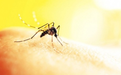 4 cách đơn giản phòng ngừa sốt xuất huyết hiệu quả