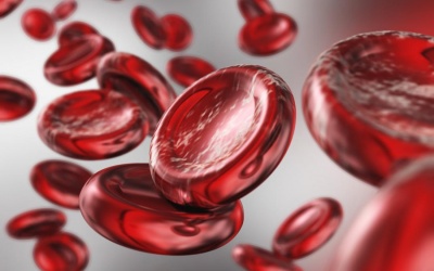 Hàm lượng hemoglobin trong xét nghiệm máu có ý nghĩa gì?