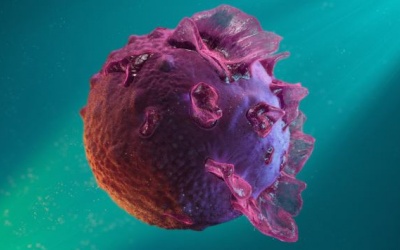 5 triệu chứng thường gặp của bệnh herpes EBV