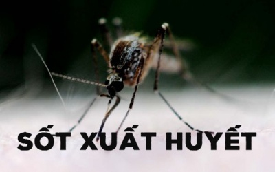 Đô thị hóa nhanh là nguyên nhân bùng phát sốt xuất huyết?