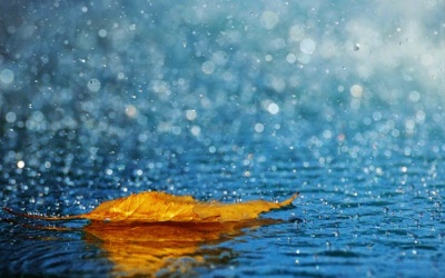 Bắc Bộ mưa dông đến ngày 5/7