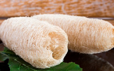 Cách lựa chọn và sử dụng xơ mướp để chăm sóc da