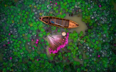 Ảnh 'Hoa súng Việt Nam' đoạt giải cuộc thi ảnh Flycam quốc tế 2017