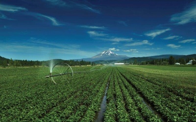 Nutrilite khẳng định giá trị nhờ chăm sóc nền tảng sức khỏe cộng đồng