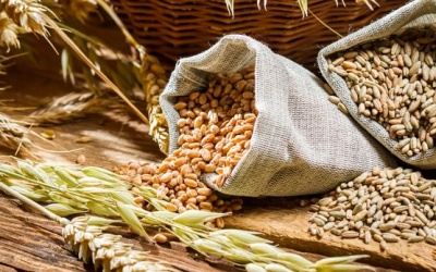Ăn bao nhiêu chất xơ mỗi ngày để giảm cân hiệu quả?