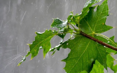 Bắc Bộ giảm mưa, trưa và chiều hửng nắng