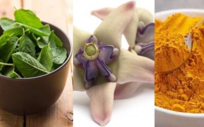 3 cách tránh thai tự nhiên dành cho nam giới Hưởng ứng Ngày Dân số thế giới