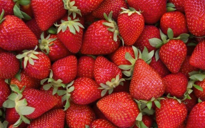 Chất fisetin trong quả dâu tây có thể ngăn ngừa bệnh Alzheimer