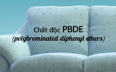 Đổ mồ hôi giúp loại bỏ chất độc PBDE gây nhiễm độc thần kinh