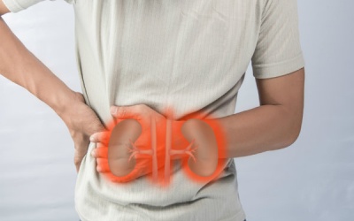 7 dấu hiệu cảnh báo thận của bạn đang có vấn đề