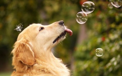 Tử vi 12 cung hoàng đạo thứ sáu (21/7/2017)