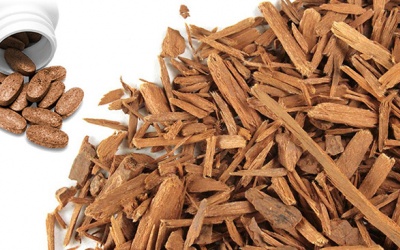 Cảnh báo loại thảo dược dùng nhiều trong TPCN gây độc cho trẻ nhỏ