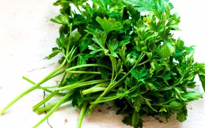3 cách sử dụng rau mùi tây để 'đánh tan' sỏi thận