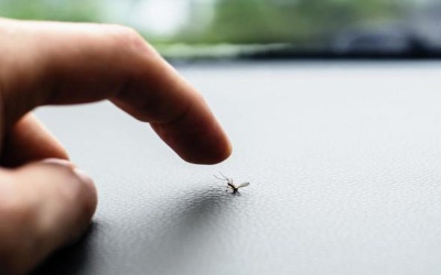 Chống muỗi theo 7 cách sai lầm này thì hỏi sao không bị sốt xuất huyết!