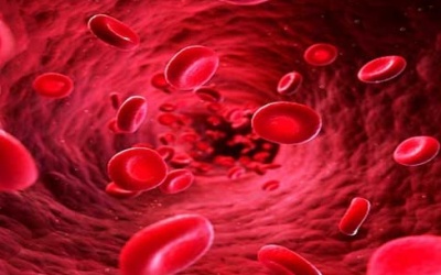 Cách tăng tiểu cầu khi bị sốt xuất huyết