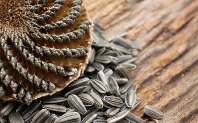 Tránh đường chưa đủ, muốn răng khỏe đẹp phải tránh cả những thứ này