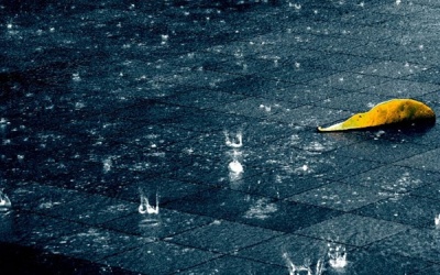 Bắc Bộ mưa dông trong 5 ngày tới