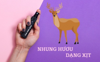 Bạn đã biết gì về nhung hươu dạng xịt dùng nhiều trong thể thao?