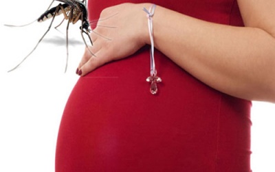 Tác hại của sốt xuất huyết và sốt rét với phụ nữ mang thai