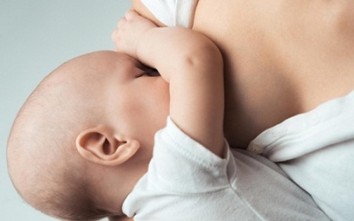 6 loại thảo mộc lợi sữa sau sinh