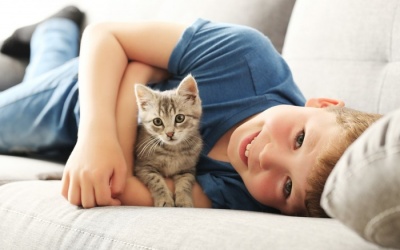 Tử vi 12 cung hoàng đạo Chủ nhật (6/8/2017)