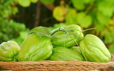 4 lợi ích sức khỏe của quả su su