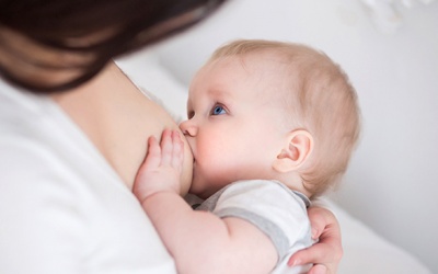 Những thực phẩm thuần chay thúc đẩy sản xuất sữa mẹ