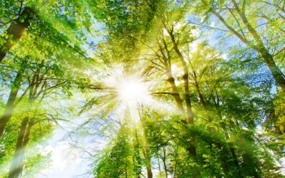 Bắc Bộ nắng nóng đến hết ngày 11/8