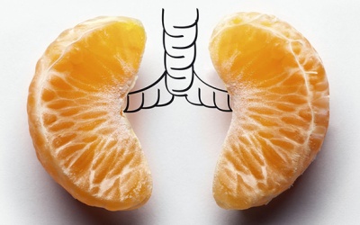 Những thực phẩm làm tăng nguy cơ ung thư phổi