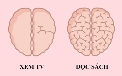 Những thói quen thường ngày ảnh hưởng đến bộ não thế nào?