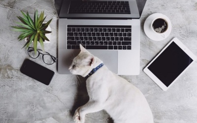 Tử vi 12 cung hoàng đạo thứ Tư (16/8/2017)