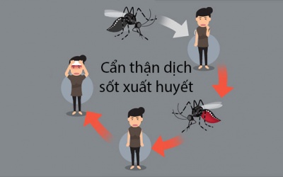 Làm sao khi hàng xóm, đồng nghiệp của bạn đã bị sốt xuất huyết?