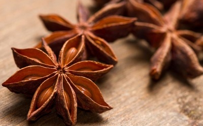 Hoa hồi tốt cho sức khỏe như thế nào?