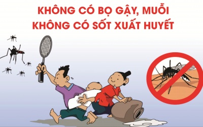 Video: Cách xử lý các dụng cụ chứa nước có bọ gậy để ngừa sốt xuất huyết