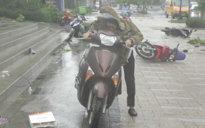 Bão Hato tiến vào biển Đông, giữa tuần Bắc Bộ có mưa to